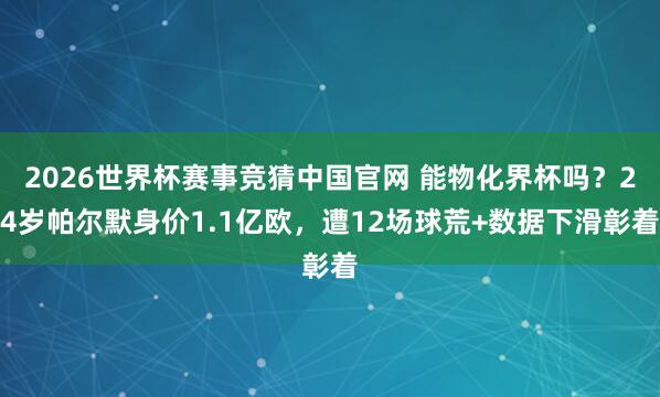 2026世界杯赛事竞猜中国官网 能物化界杯吗？24岁帕尔默身价1.1亿欧，遭12场球荒+数据下滑彰着