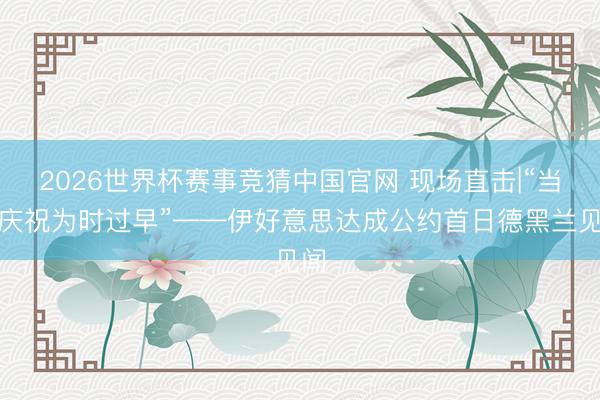 2026世界杯赛事竞猜中国官网 现场直击|“当今庆祝为时过早”——伊好意思达成公约首日德黑兰见闻